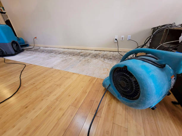 Professional Structural Drying technician working in Gunpowder, MD